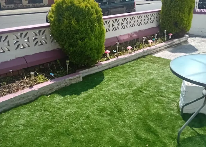Myroomz Orchid Hotel